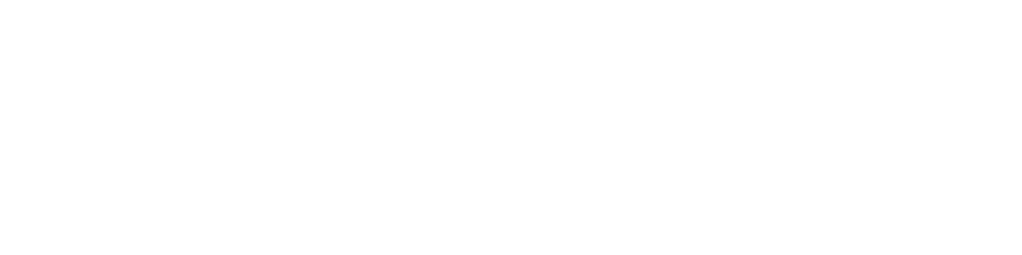 Remote Support Systems